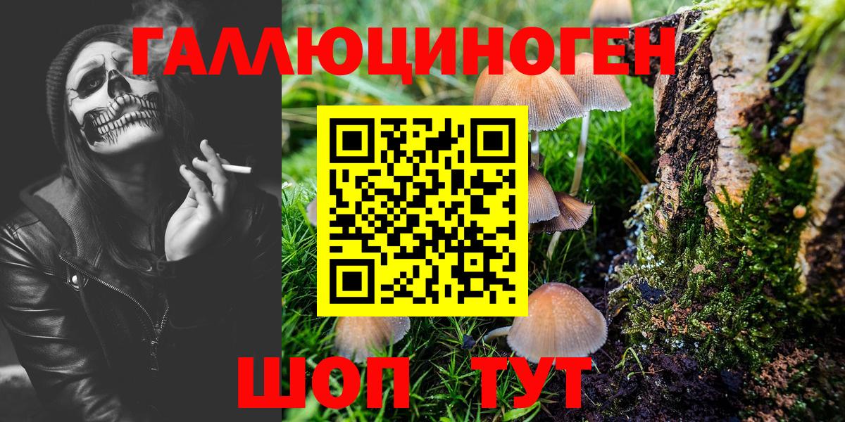 Псилоцибиновые грибы Cubensis Гагарин